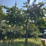 La Palombara Farma Agriano