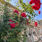 La Palombara