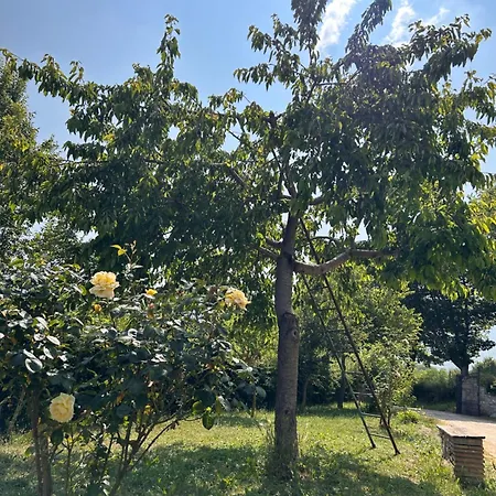 La Palombara Farm stay Agriano