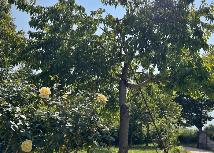 La Palombara Farm stay Agriano